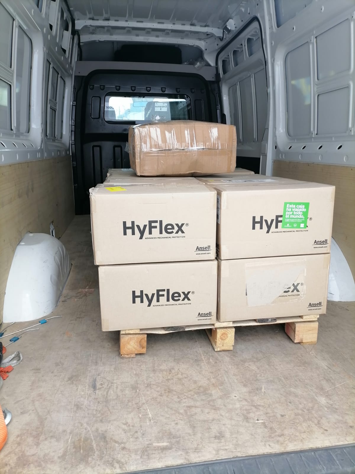 WhatsApp Image 2024-08-31 at 5.17